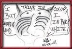 CatCar6.jpg
